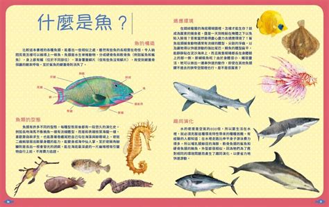 什麼魚|《世界上有哪些魚？ 》 太平洋的魚類與海洋生物